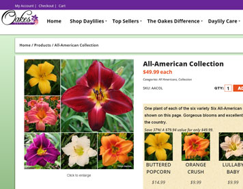 Oakes Daylilies